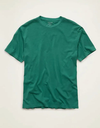 AE Standard Fit Lived-In T-Shirt