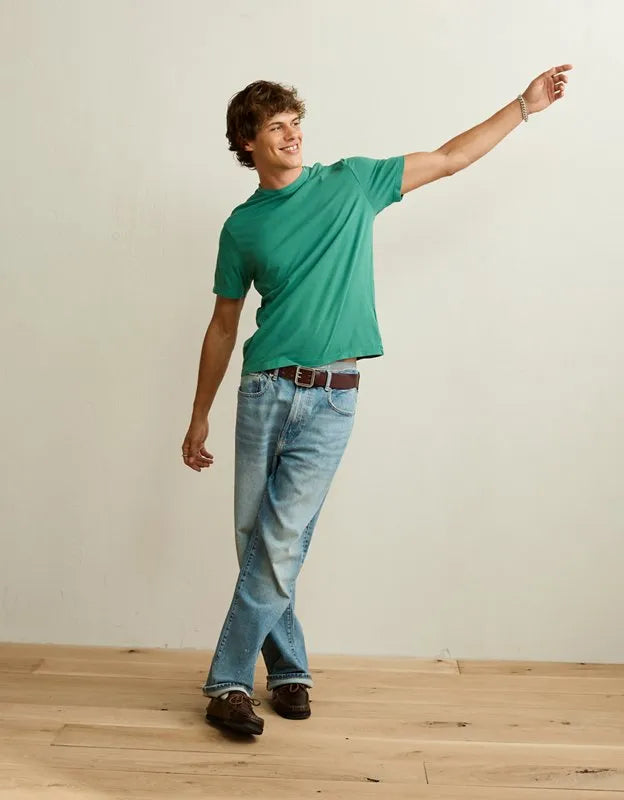 AE Standard Fit Lived-In T-Shirt