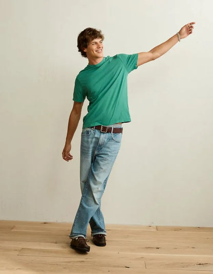 AE Standard Fit Lived-In T-Shirt