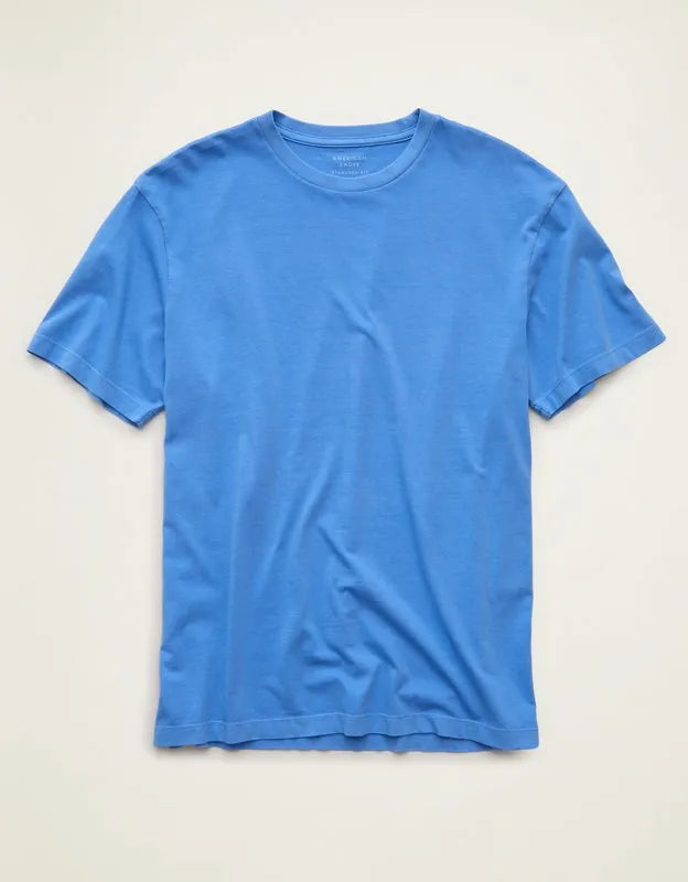AE Standard Fit Lived-In T-Shirt