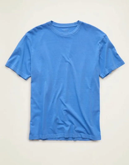 AE Standard Fit Lived-In T-Shirt