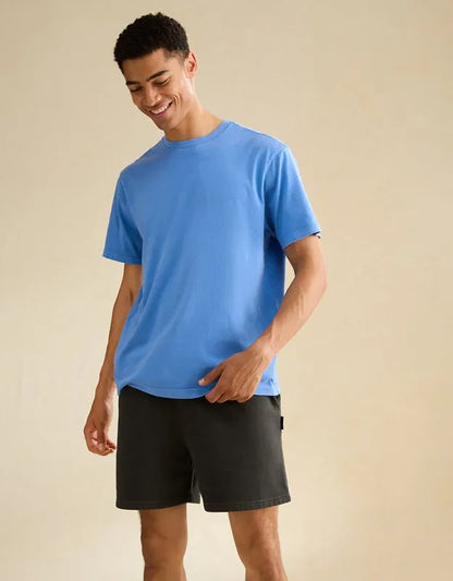 AE Standard Fit Lived-In T-Shirt