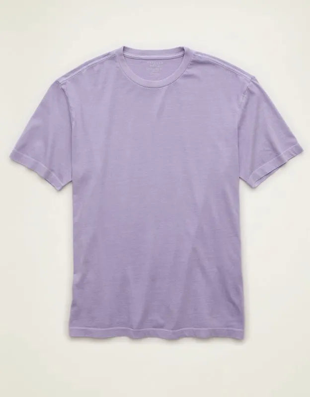 AE Standard Fit Lived-In T-Shirt