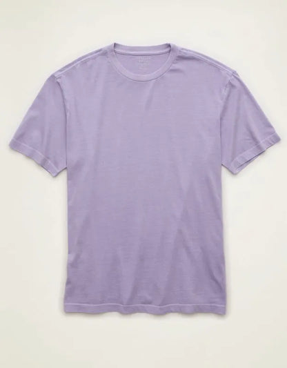 AE Standard Fit Lived-In T-Shirt