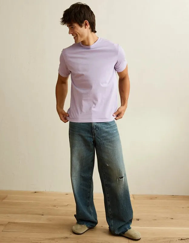 AE Standard Fit Lived-In T-Shirt