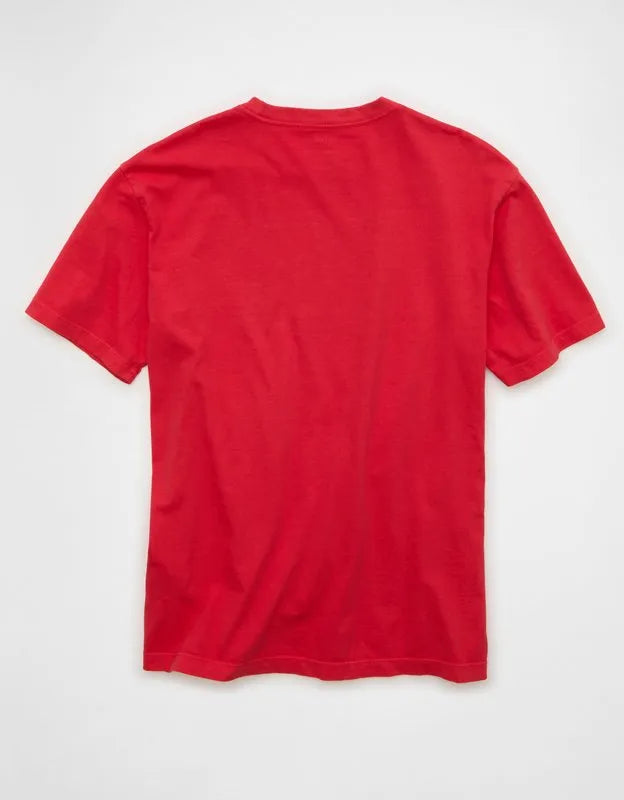AE Standard Fit Lived-In T-Shirt