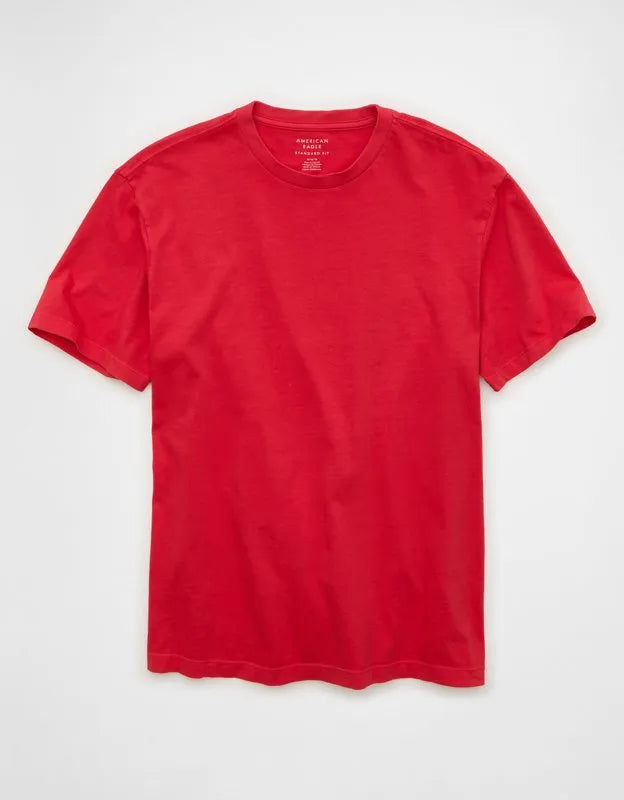 AE Standard Fit Lived-In T-Shirt