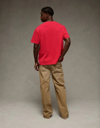 AE Standard Fit Lived-In T-Shirt