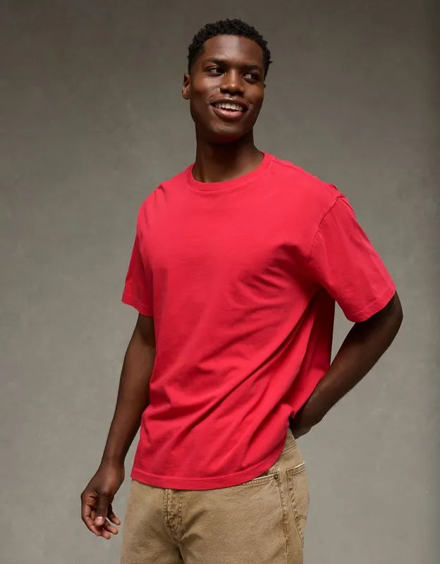 AE Standard Fit Lived-In T-Shirt