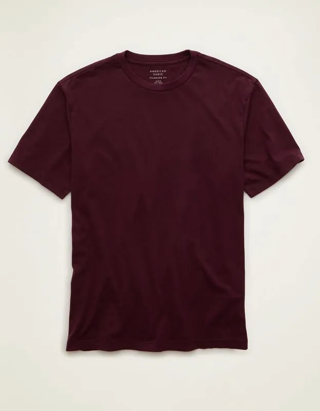 AE Standard Fit Lived-In T-Shirt