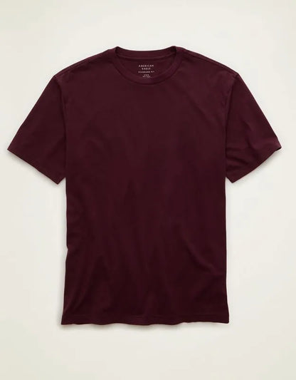 AE Standard Fit Lived-In T-Shirt