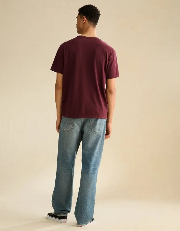 AE Standard Fit Lived-In T-Shirt