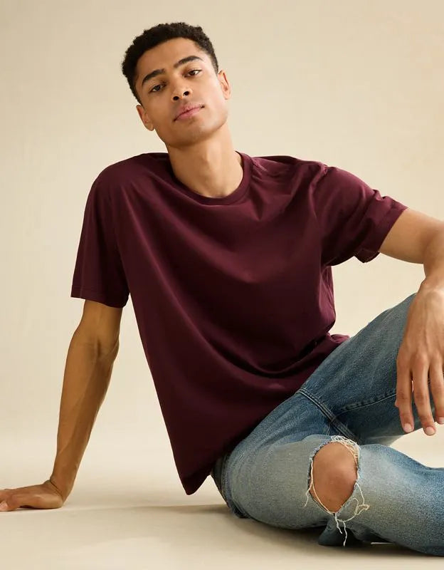 AE Standard Fit Lived-In T-Shirt