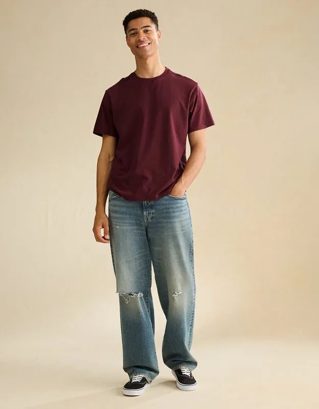 AE Standard Fit Lived-In T-Shirt
