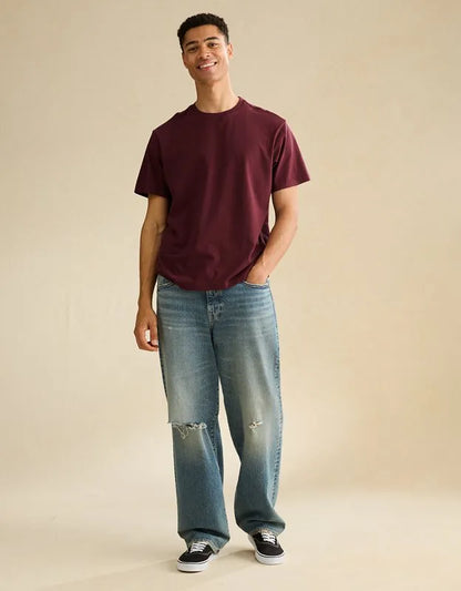 AE Standard Fit Lived-In T-Shirt