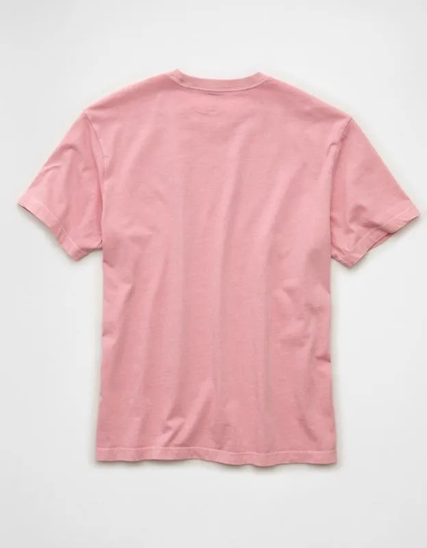 AE Standard Fit Lived-In T-Shirt
