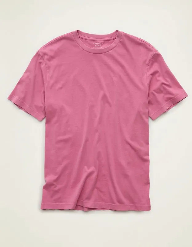 AE Standard Fit Lived-In T-Shirt