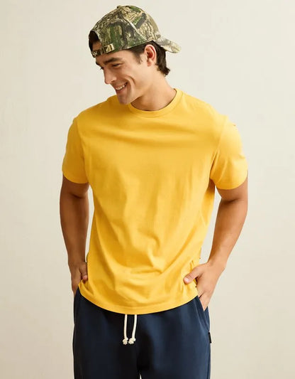 AE Standard Fit Lived-In T-Shirt