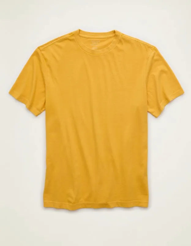 AE Standard Fit Lived-In T-Shirt