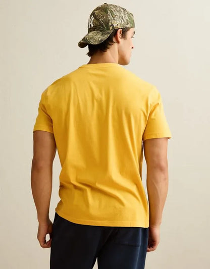 AE Standard Fit Lived-In T-Shirt