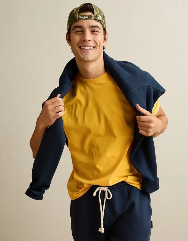 AE Standard Fit Lived-In T-Shirt