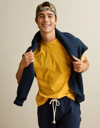 AE Standard Fit Lived-In T-Shirt