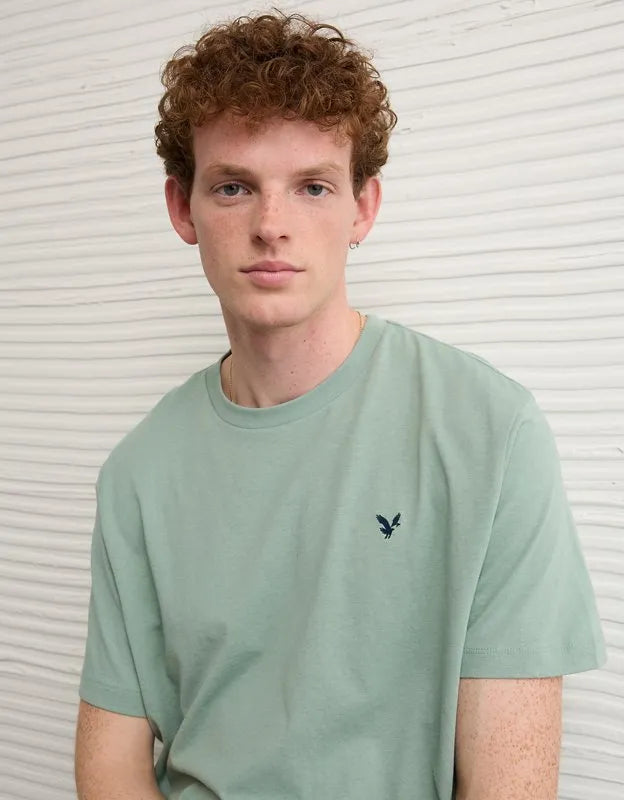 AE Standard Fit Lightweight Logo T-Shirt