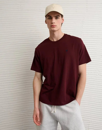 AE Standard Fit Lightweight Logo T-Shirt
