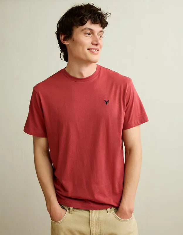 AE Standard Fit Lightweight Logo T-Shirt