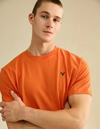 AE Standard Fit Lightweight Logo T-Shirt