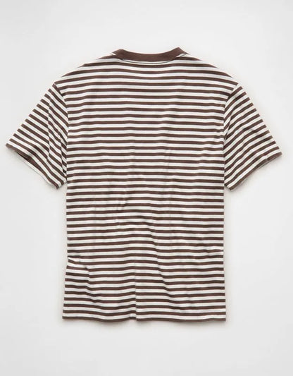 AE Standard Fit Lived-In T-Shirt