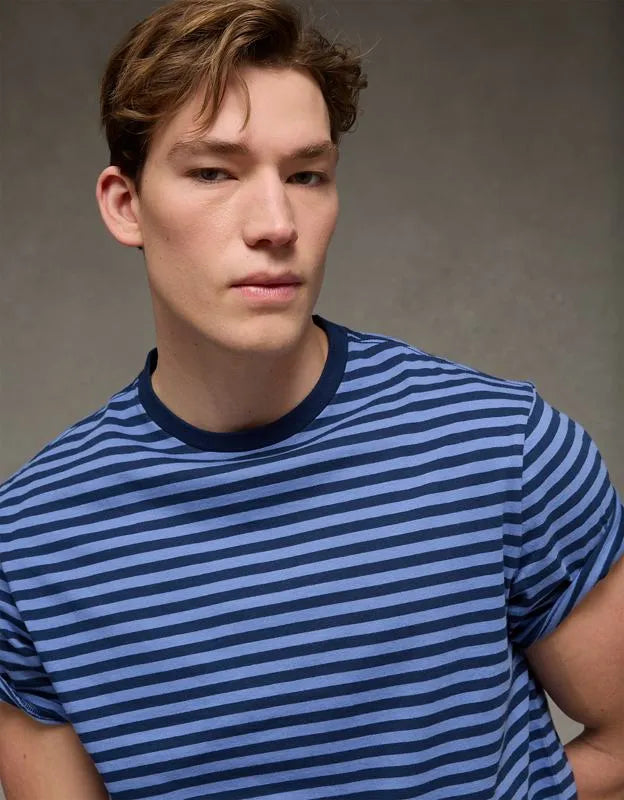 AE Standard Fit Lived-In T-Shirt