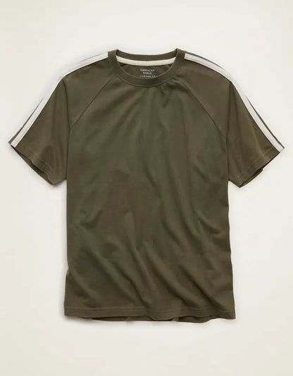 AE Standard Fit Raglan T-Shirt
