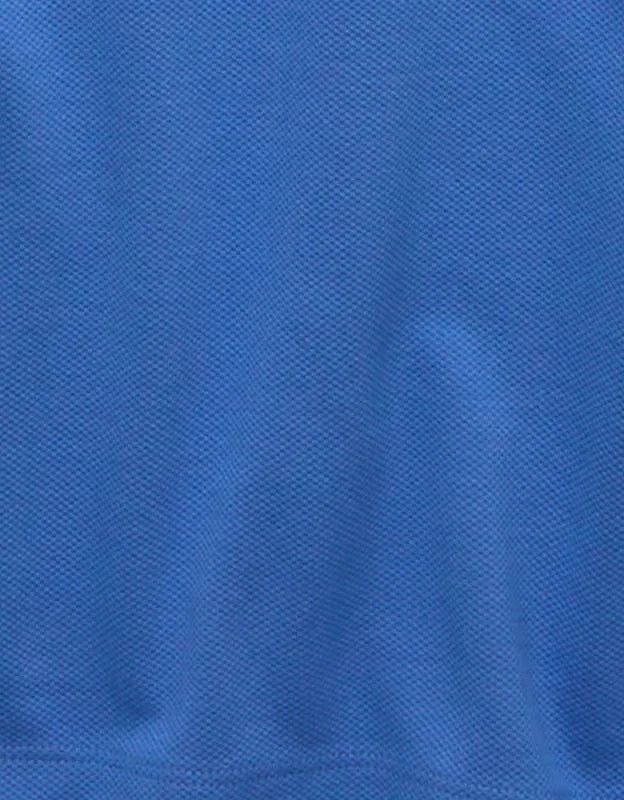 AE Standard Fit 24/7 Training Polo Shirt
