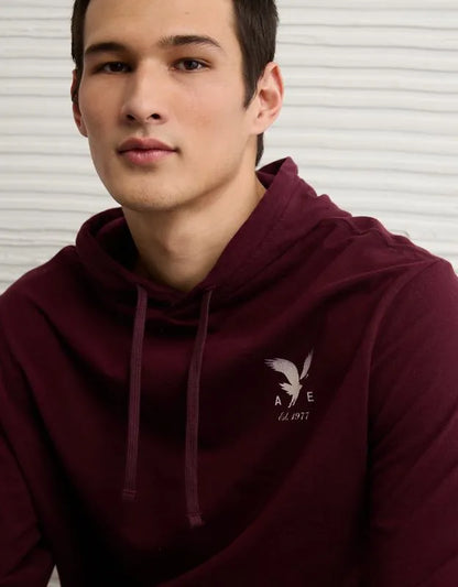 AE Standard Fit Lightweight Logo Graphic Hoodie T-Shirt