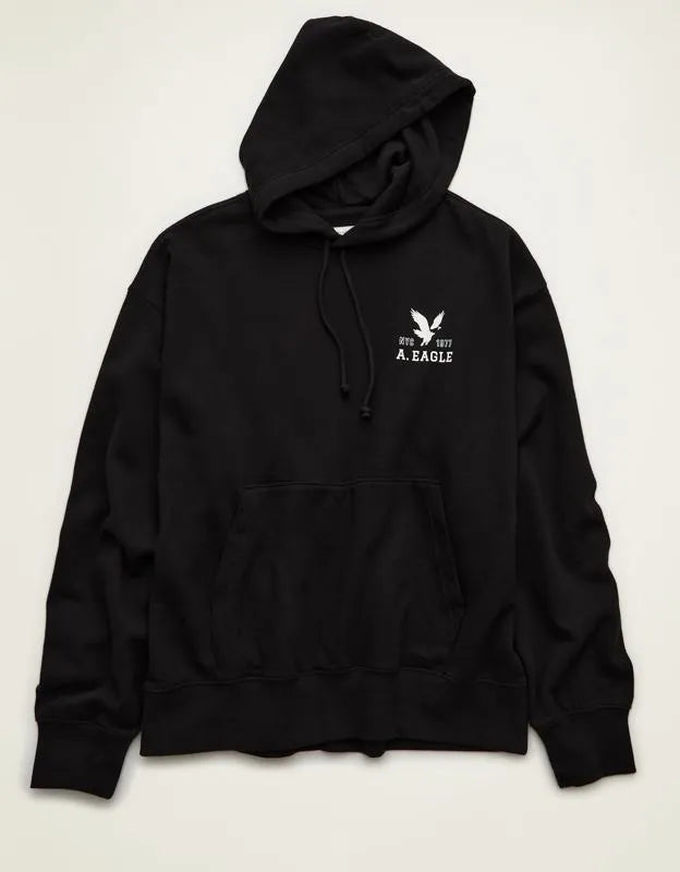 AE Lightweight Logo Fleece Hoodie