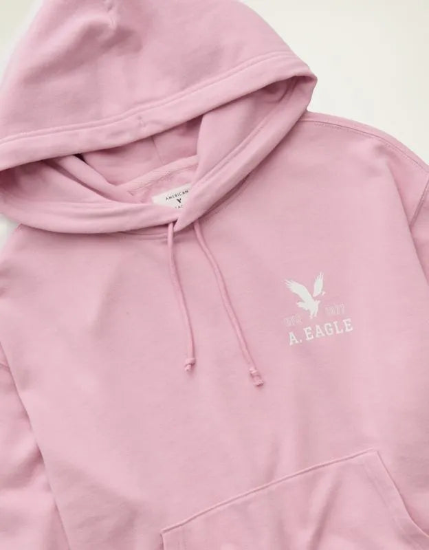AE Lightweight Logo Fleece Hoodie