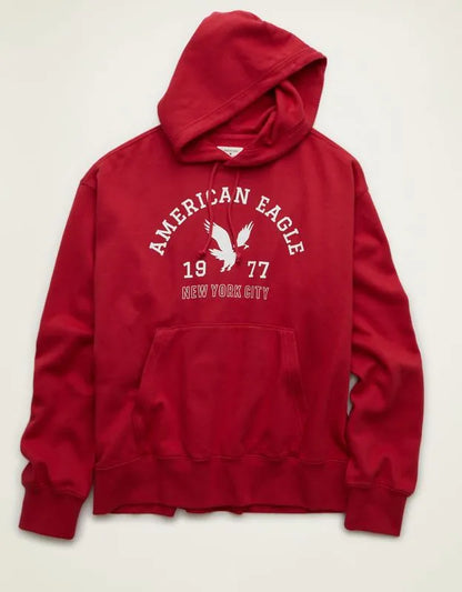 AE Lightweight Logo Fleece Hoodie