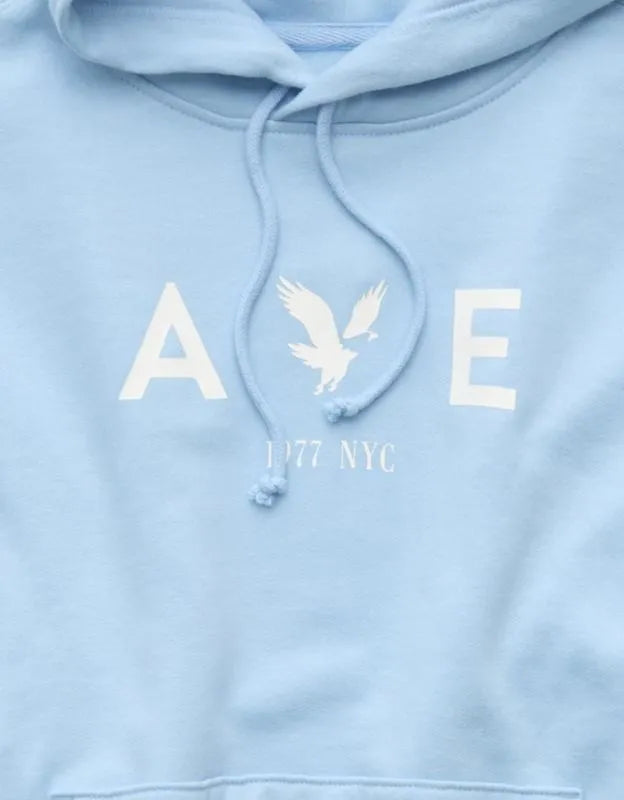 AE Graphic Hoodie