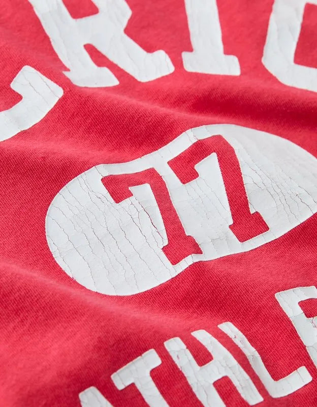 AE Boxy Americana Graphic T-Shirt