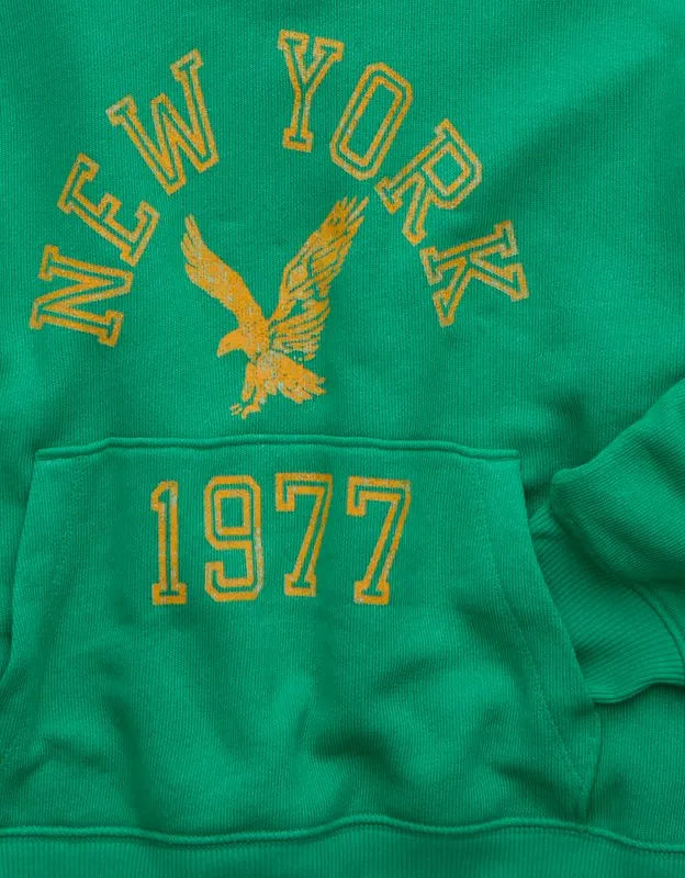 AE Campus Hoodie