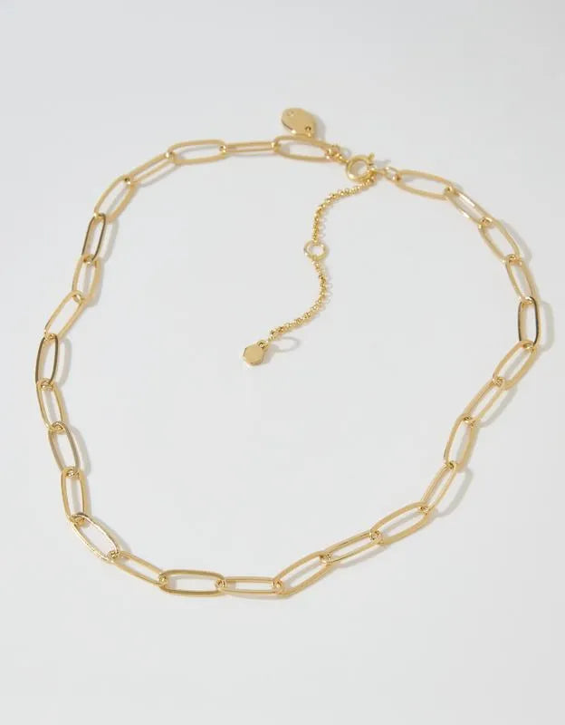 Aerie Chunky Paperclip Necklace