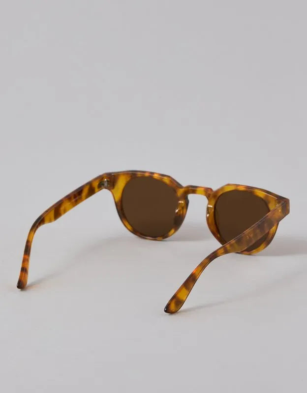 AEO Rounded Sunglasses