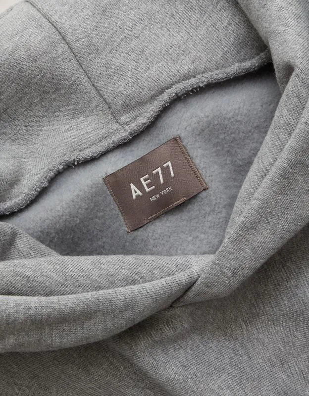 AE77 Premium Cropped Hoodie