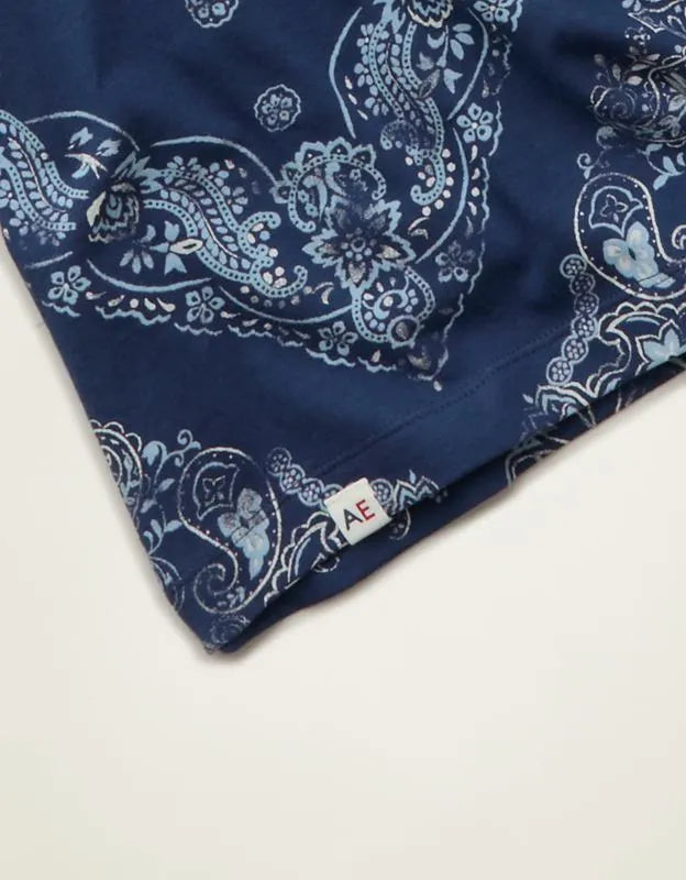 AE Boxy Fit Americana T-Shirt