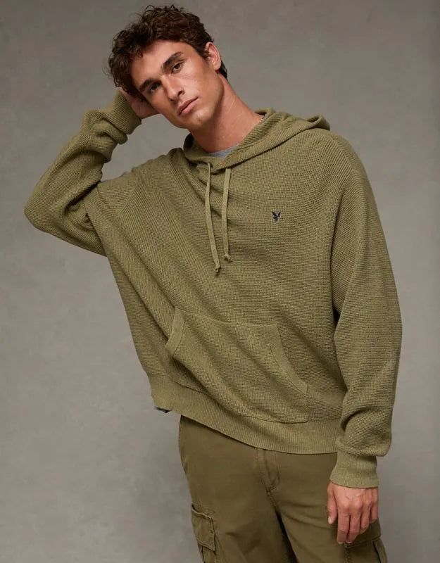 AE Lightweight Icon Sweater Hoodie