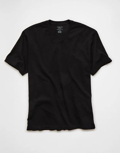 AE Standard Fit Lived-In V-Neck T-Shirt