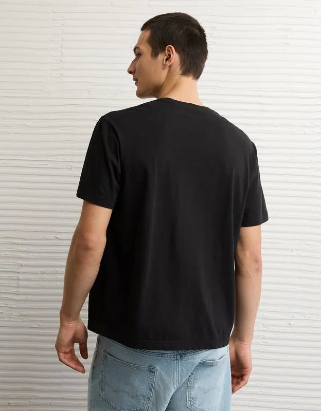 AE Standard Fit Lived-In V-Neck T-Shirt
