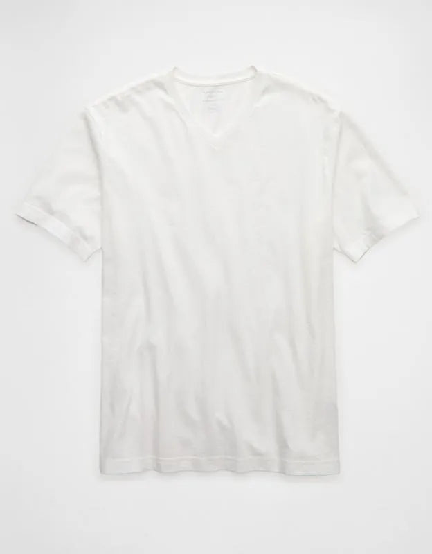 AE Standard Fit Lived-In V-Neck T-Shirt