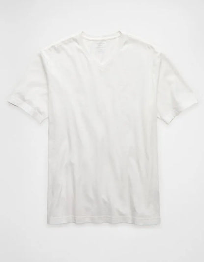 AE Standard Fit Lived-In V-Neck T-Shirt